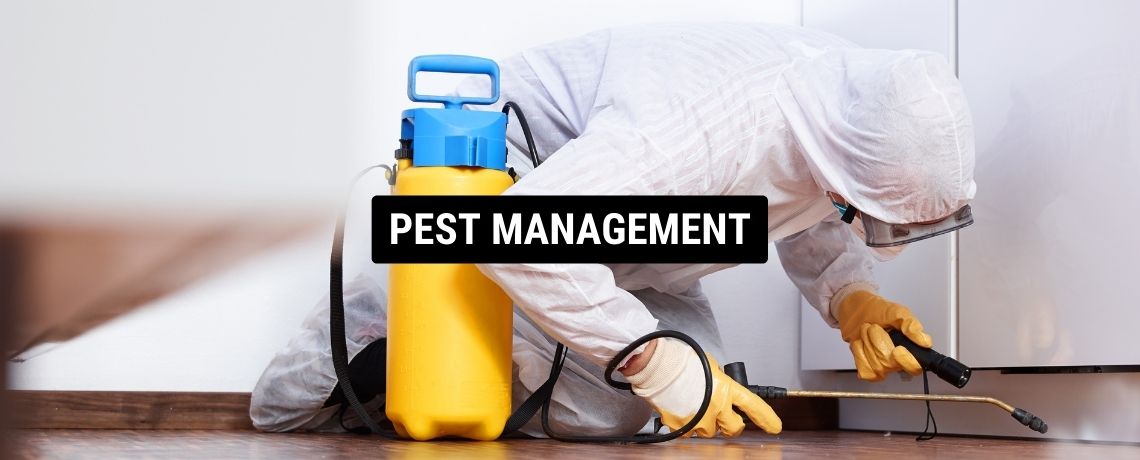 pest-management-roma