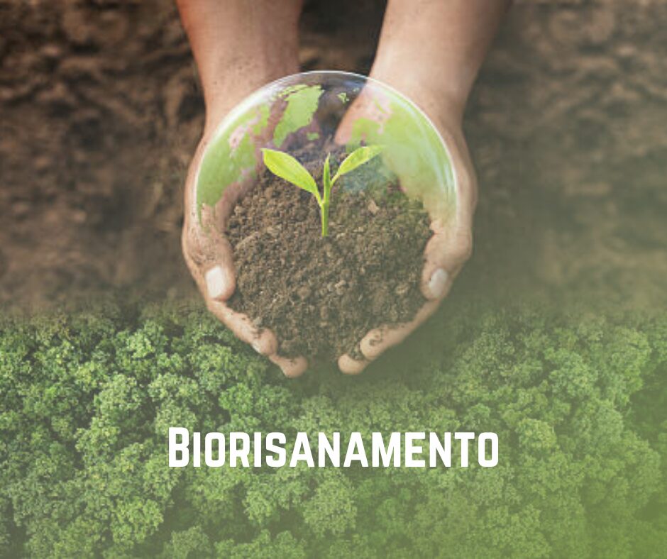 Biorisanamento- siti inquinati