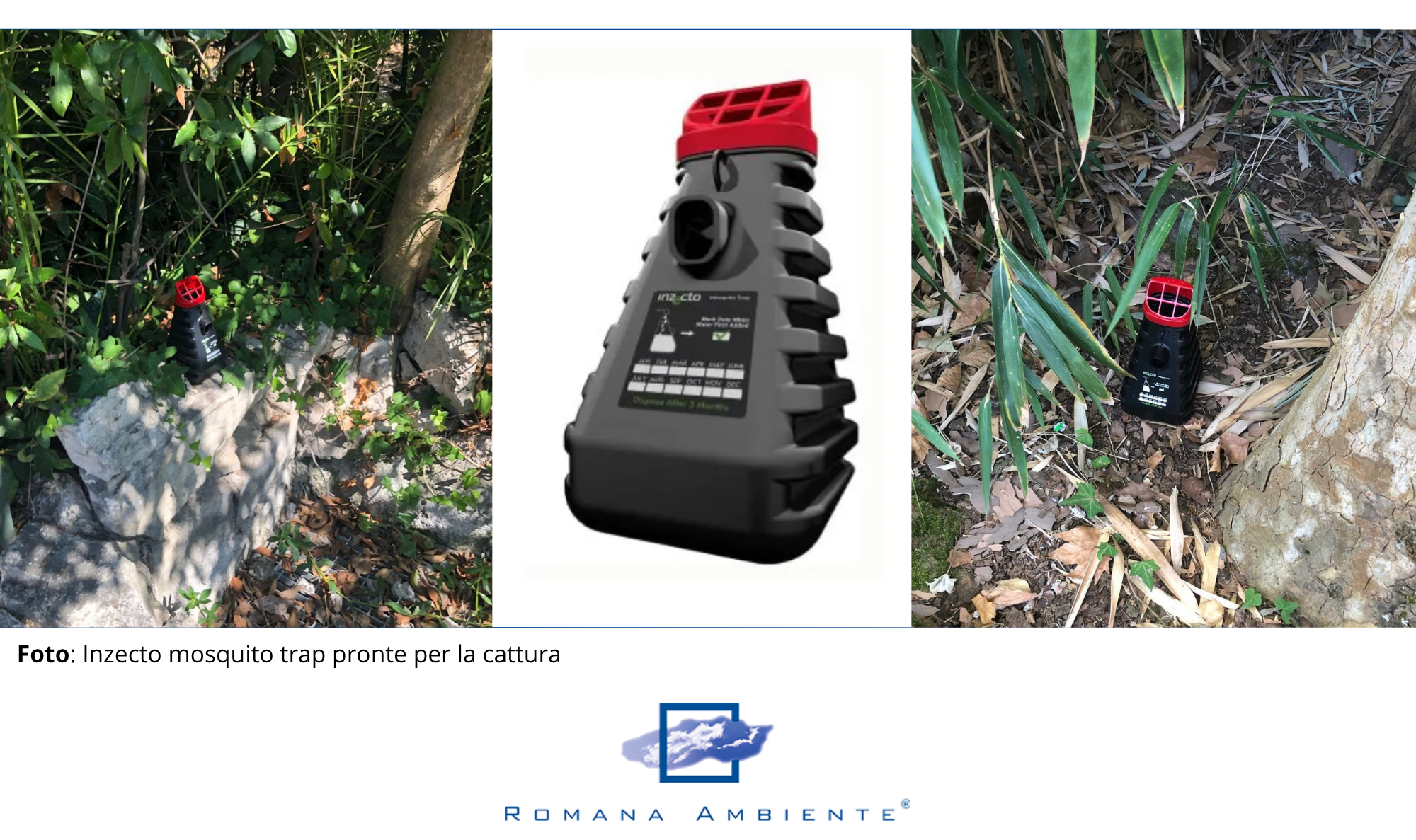 Inzecto Mosquito Trap- posizionamento